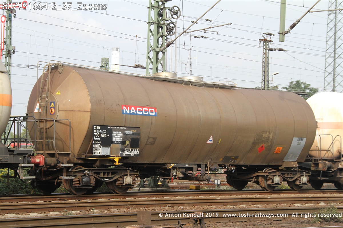 807931664-2_37_Zacens.JPG